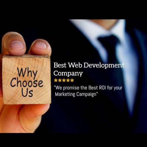 why choose us- web development